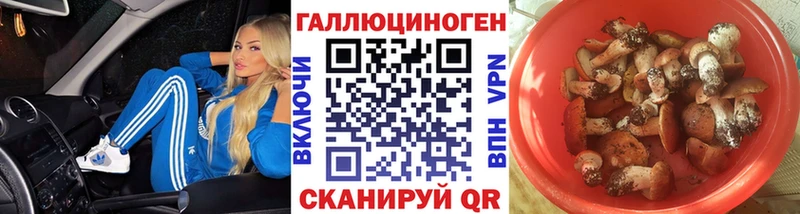 Псилоцибиновые грибы Psilocybine cubensis  Купить где  Батайск 